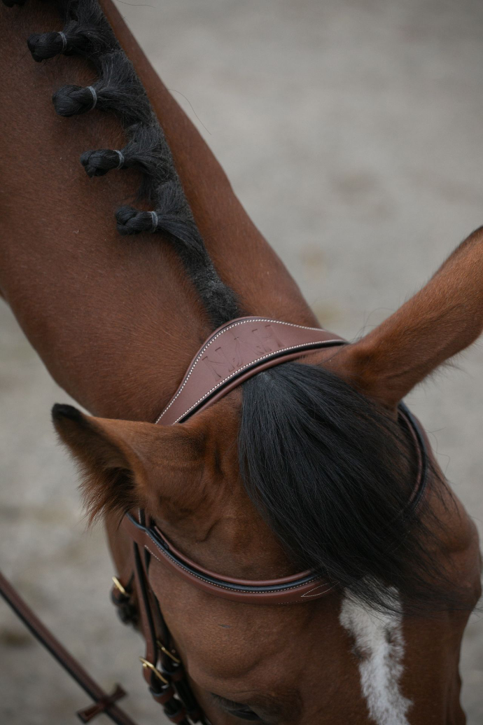 image montrant la têtière de la marque HVN sur un cheval